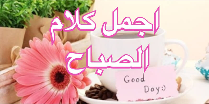 احلى صباح الخير - اروح رسائل لصباح كله ورد 65 1