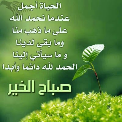 رسائل صباح الحب - اجمل عبارات للصباح مميزة 5640 5