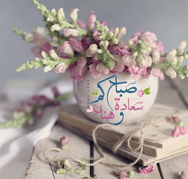 صباح البركة - اجمل واروع صور عن صباح البركة 2228 7