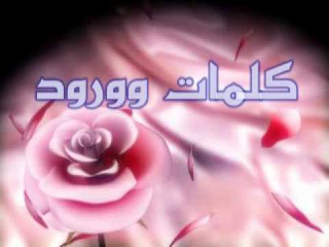 كلمات من ورود - صور كلمات عن الحياة 2507 4