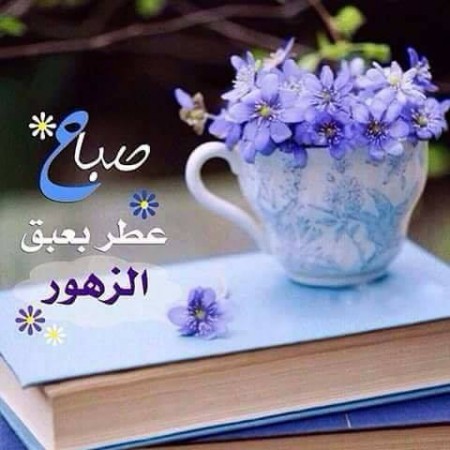 صورصباح الخير - اجمل صور لصباح الخير 751 1