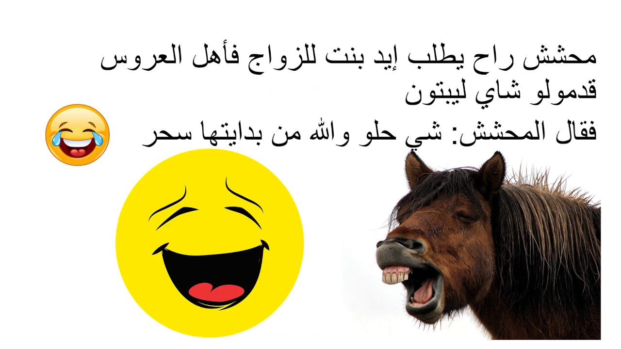 نكت محششين تموت من الضحك , نكت وقفشات روعة