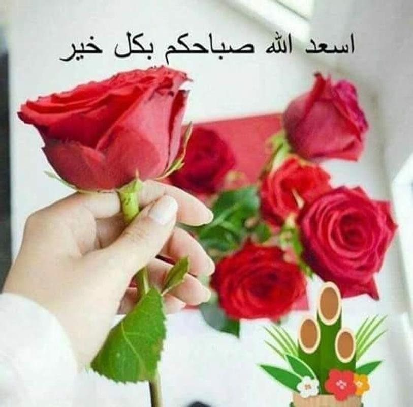 ورد صباح الخير - واو اروع رسائل صباحية 459 7