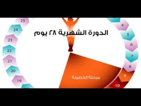 افضل وقت للحمل - توقيت الحمل المناسب 0 48