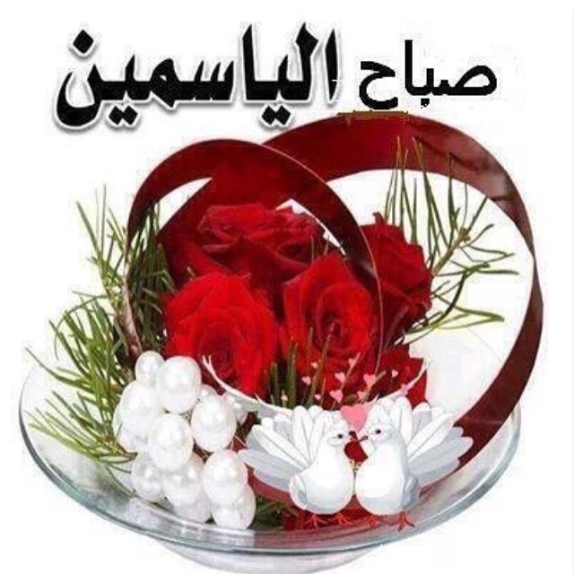 صور صباح الفل - عبارات صباح الخير 2667 8