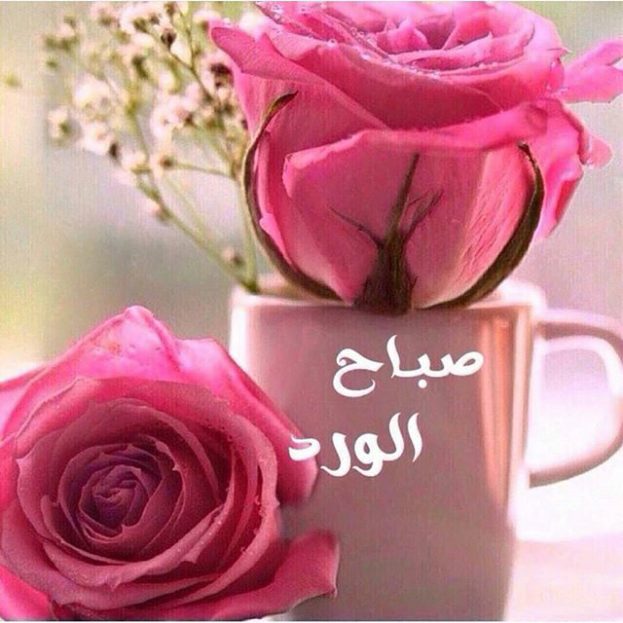 صورصباح الخير - اجمل صور لصباح الخير 751 13