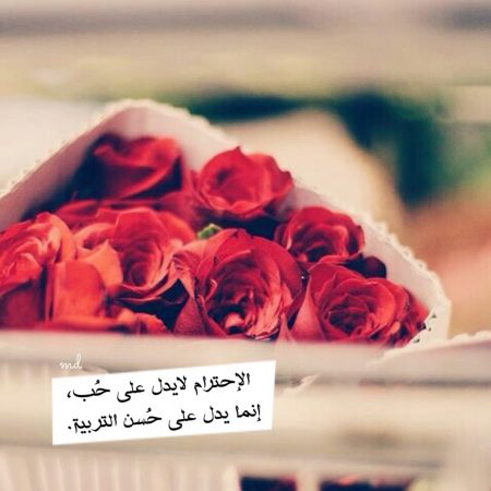 منوعات وجمال الحالات - خلفيات واتساب جميله 4898 1