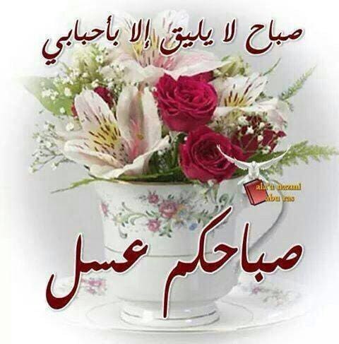 صورصباح الخير - اجمل صور لصباح الخير 751 12