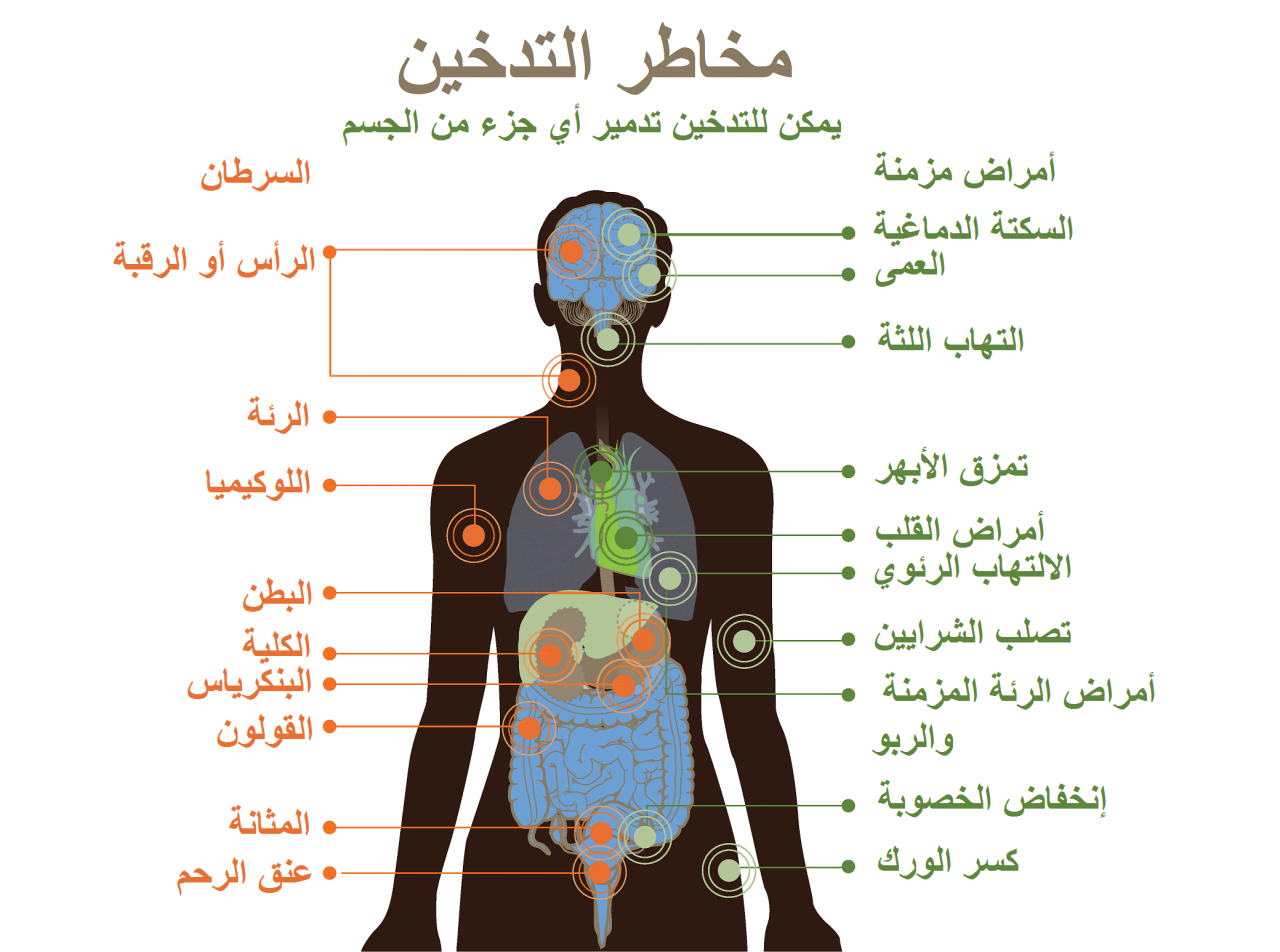 اضرار واخطار التدخين - اقلع عن التدخين حالا لخطورته علي الصحه 6408