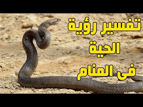 رؤية الحية في المنام , معني رؤية الحية في المنام