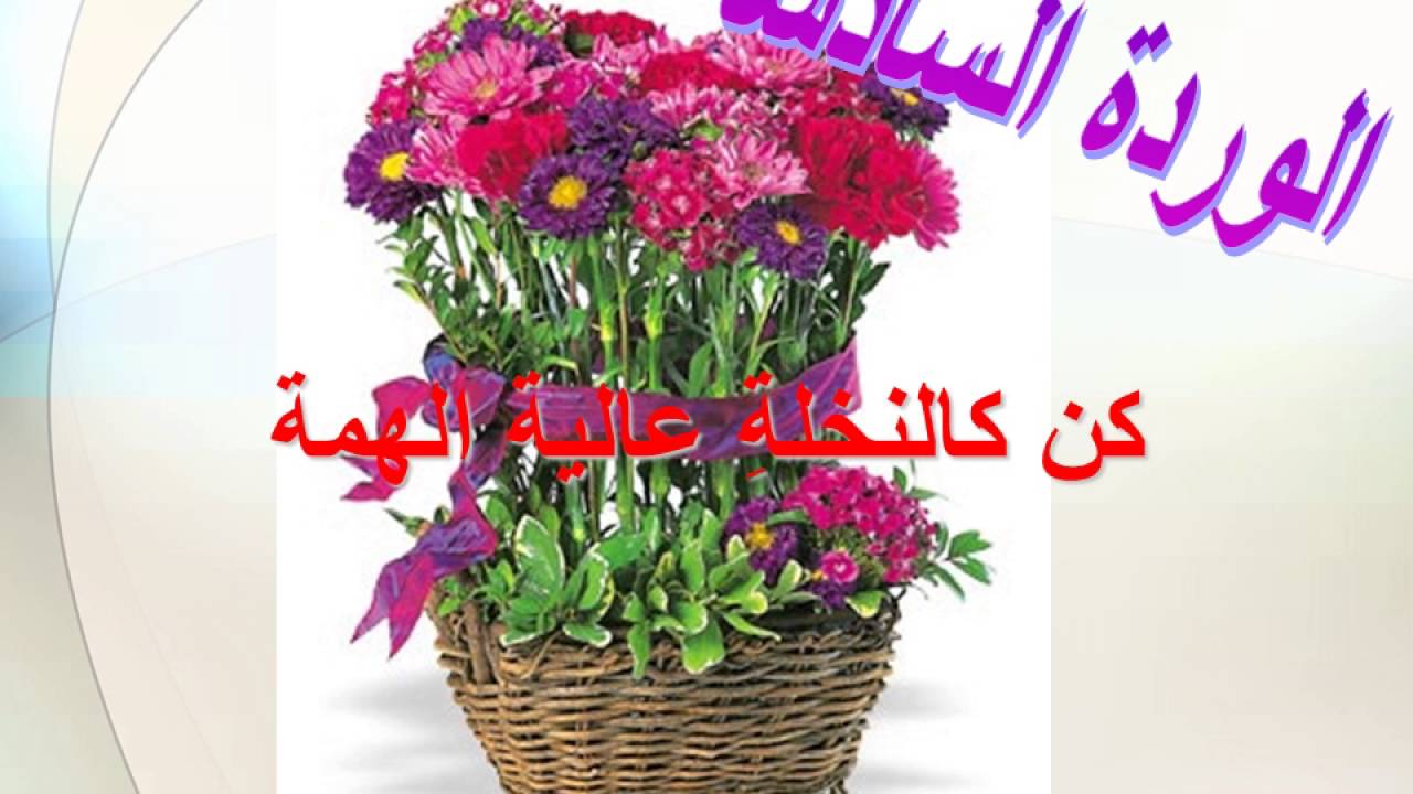 زهور الكلمات , احلي زهور وكلمات