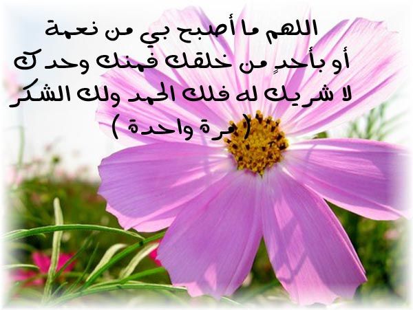 صور الصباح والمساء - اجمل صور الصباح و المساء 6488 14