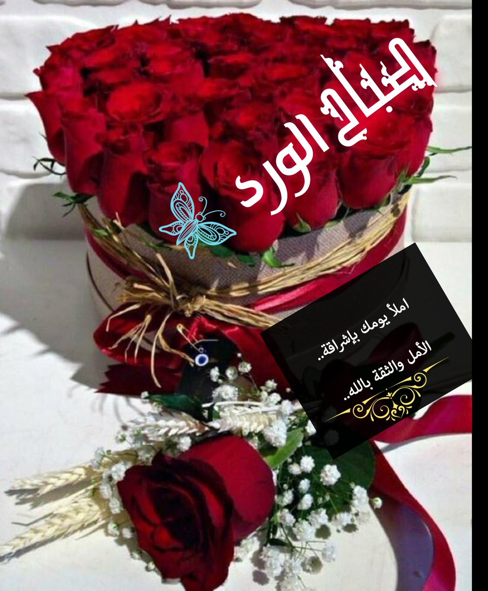 ورد صباح الخير - واو اروع رسائل صباحية 459 2