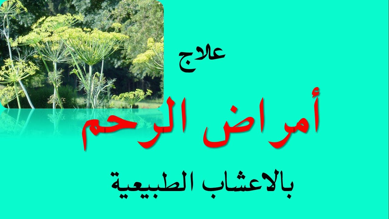 طرق التخلص من تليف الرحم طبيعيا - علاج تليف الرحم بالعسل 13201 2