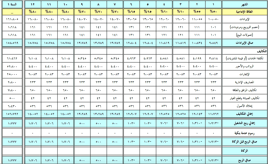 دراسة جدوى جاهزة- تعلم كيف تصبح ناجحا 1060