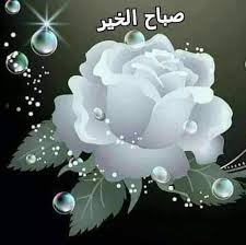 صورصباح الخير - اجمل صور لصباح الخير 751 8