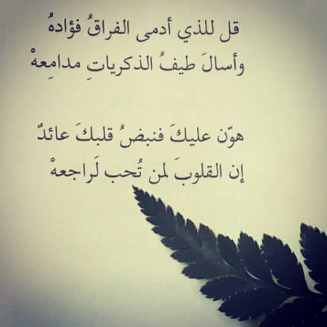 شعر عن النوم 6102 11