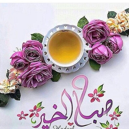 صورصباح الخير - اجمل صور لصباح الخير 751 4