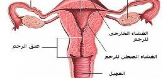 تعرف علي العقم واسبابه , اسباب العقم