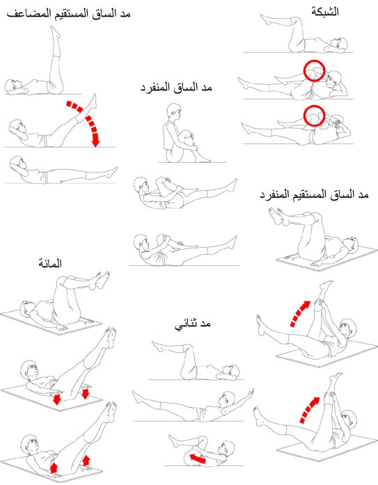 رياضة الارداف والافخاذ - اسهل التمارين لحل المشكلة 14478