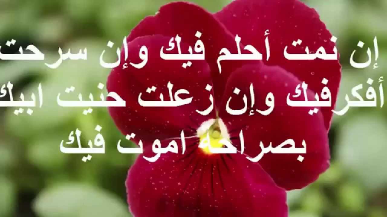 رسائل بحبك- اروع صور للعشاق 1123 6