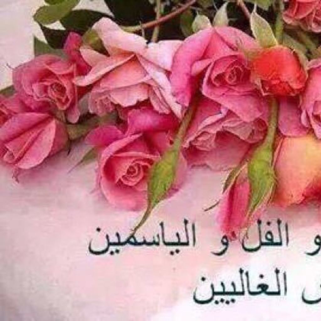 صور صباحالخير - اجمل صور صباح الخير 5168 8