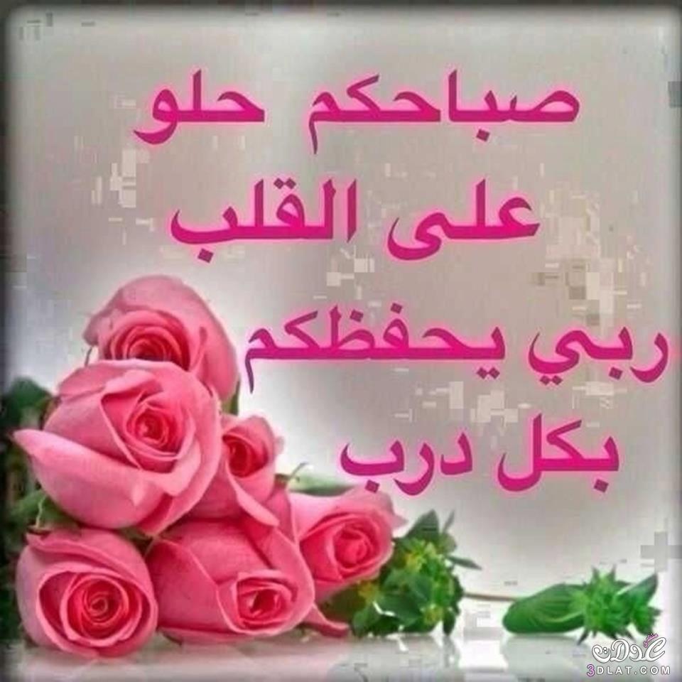 صور للصباح - اجمل صور صباحيه للموبايلات 2183