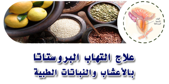 علاج تضخم البروستاتا - علاج تضخم البروستاتا بالاعشاب 2428 2