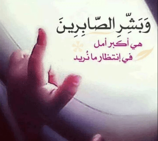 حالات واتس اب حكم - اروع الحالات المميزة بأرقي الكلمات الساحرة 6590 2