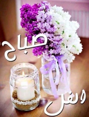 رسائل صباح الخير - احسن صور صباحية جميله 5272 5