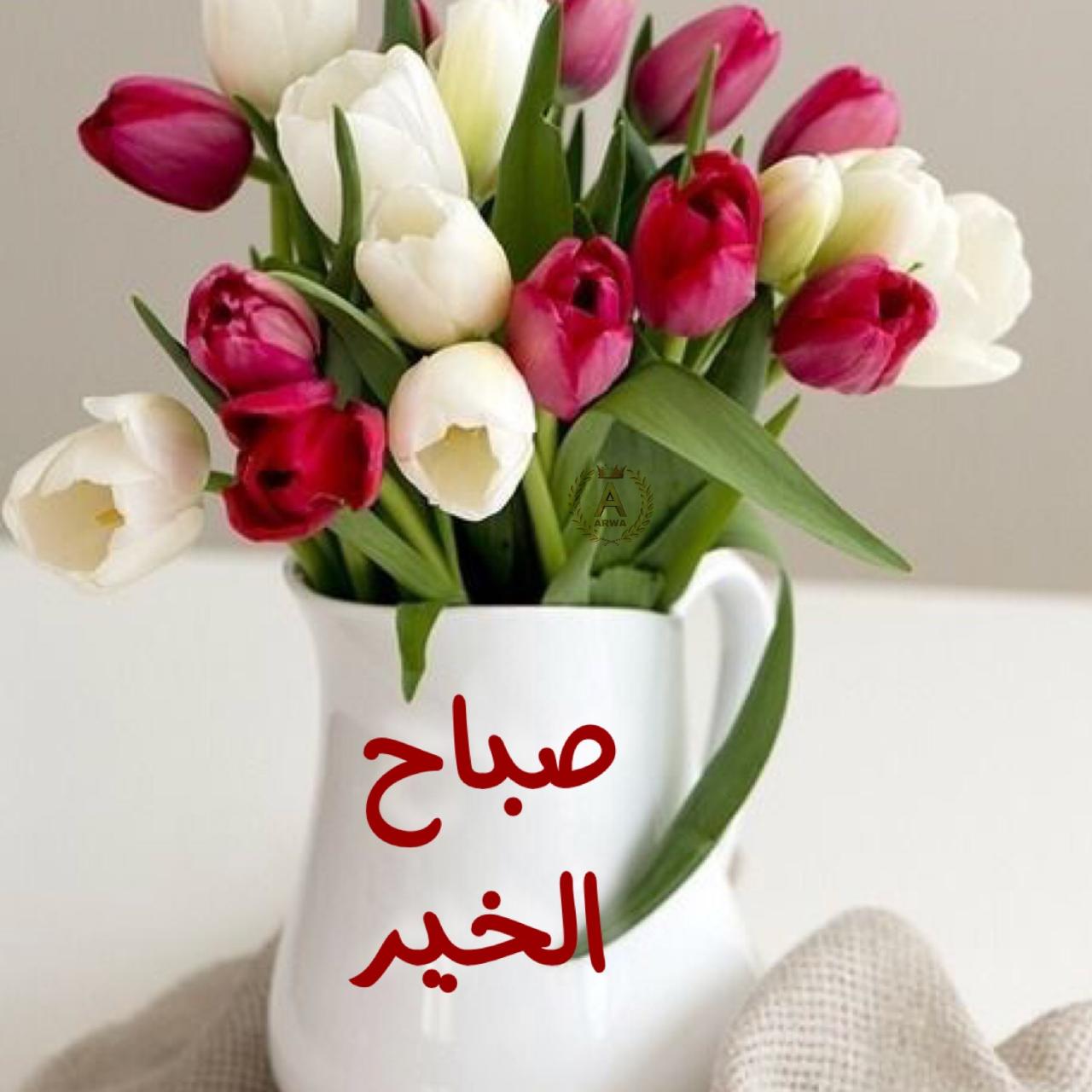 ورد صباح الخير - واو اروع رسائل صباحية 459 1