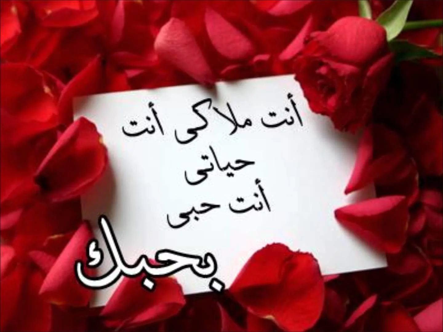 مسجات عيد زواج - احتفالية بعيد الزواج 2019 4203 6