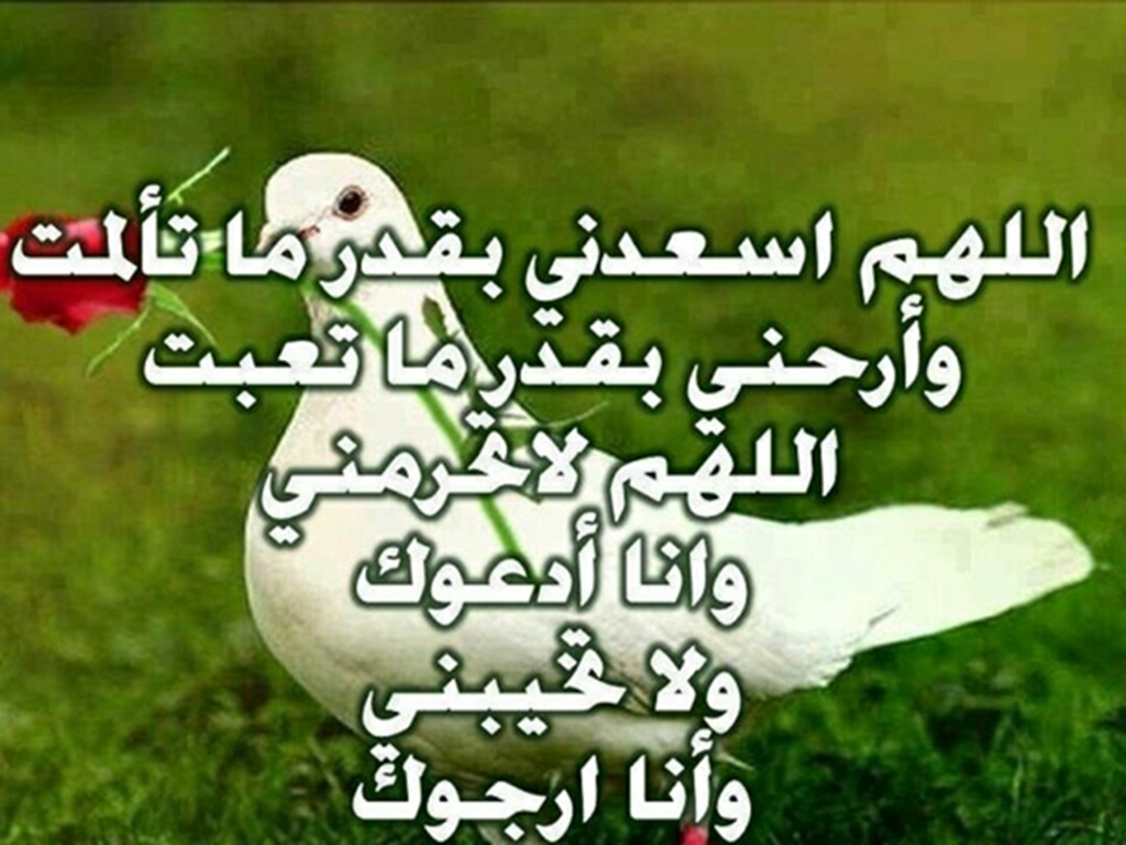 تحميل ادعية- اعظم واروع الادعيه المستحابه والمجابه 4425 4