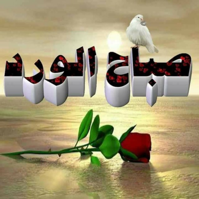 صور صباح الفل - عبارات صباح الخير 2667 5