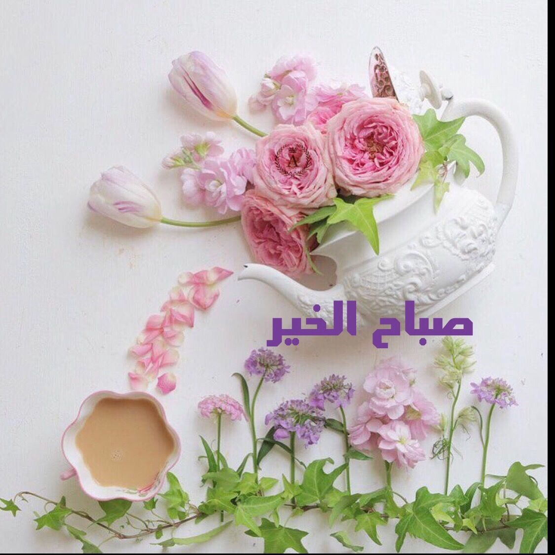 ورد صباح الخير - واو اروع رسائل صباحية 459 11