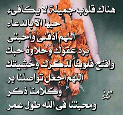 صور للنشر - خلفيات حديثه و مميزة 5534 4