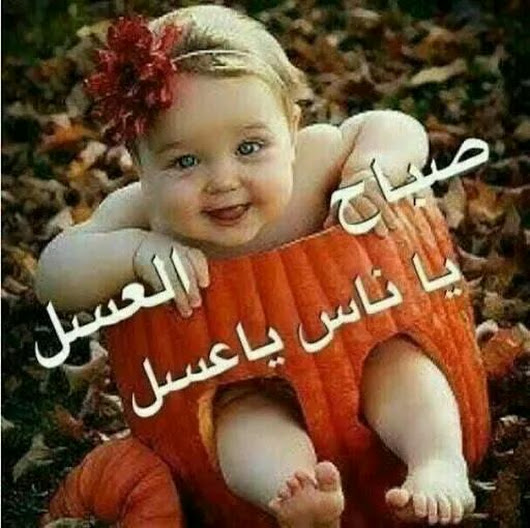 صباح العسل ياعسل - صور مكتوب عليها صباحك عسل 4035 6