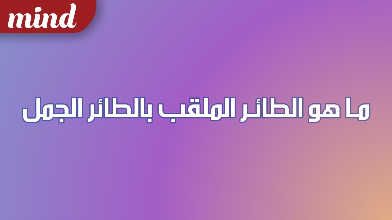 ما هو الطائر الملقب بالطائر الجمل , تعرف علي اغرب انواع الطيور الملقب بالجمل