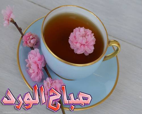 اجمل صور صباح الخير - صباح الخير يامصر 5977 13