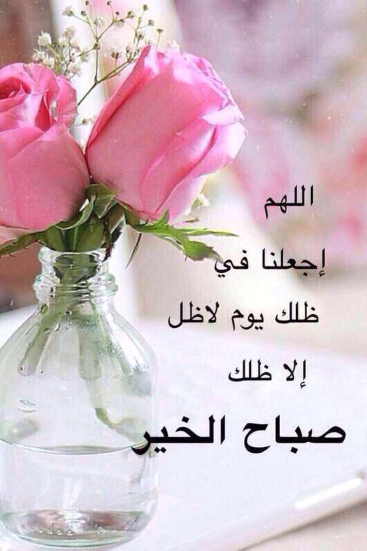 صورصباح الخير - اجمل صور لصباح الخير 751 3