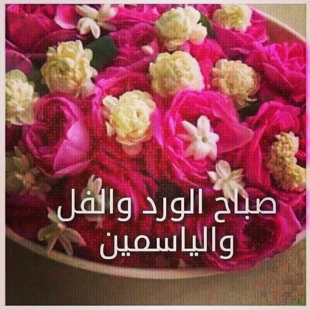 صور صباح الفل - عبارات صباح الخير 2667