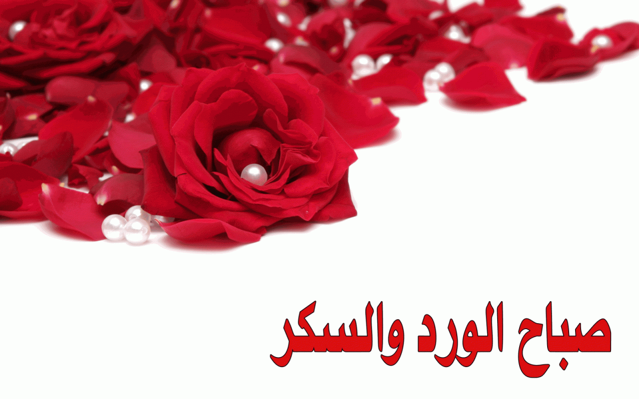 للمساء كلمت خاصه جدا معبرة - احلى رسائل مساء 13888