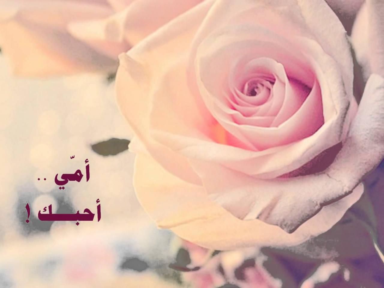 صور اسم امي - تضحيات الام 5952 11