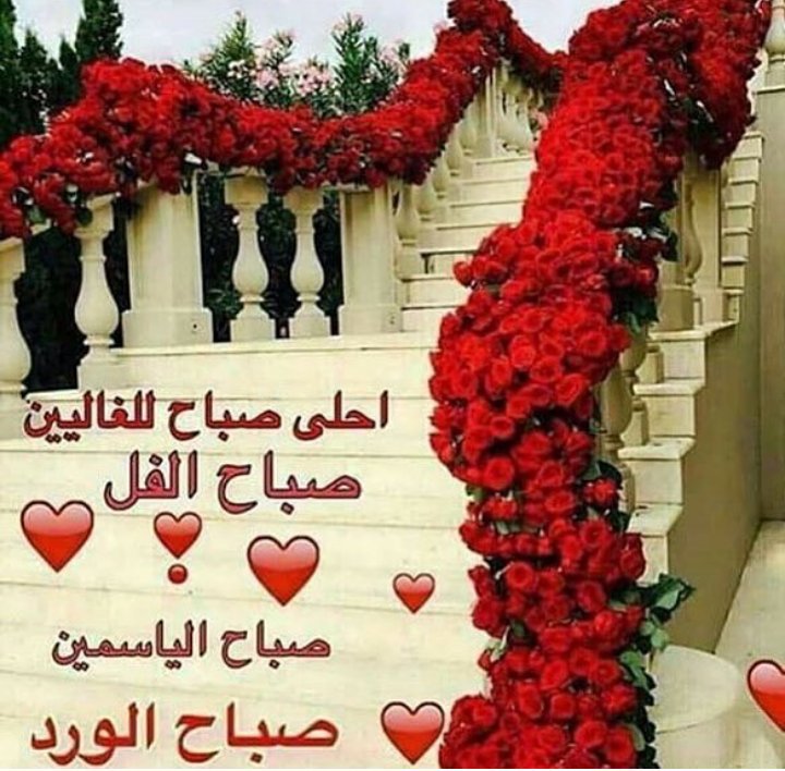 صورصباح الخير متحركة - صور اشراقه جديده 4721 2