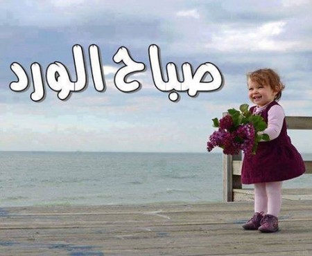 صور صباح الفل - عبارات صباح الخير 2667 7