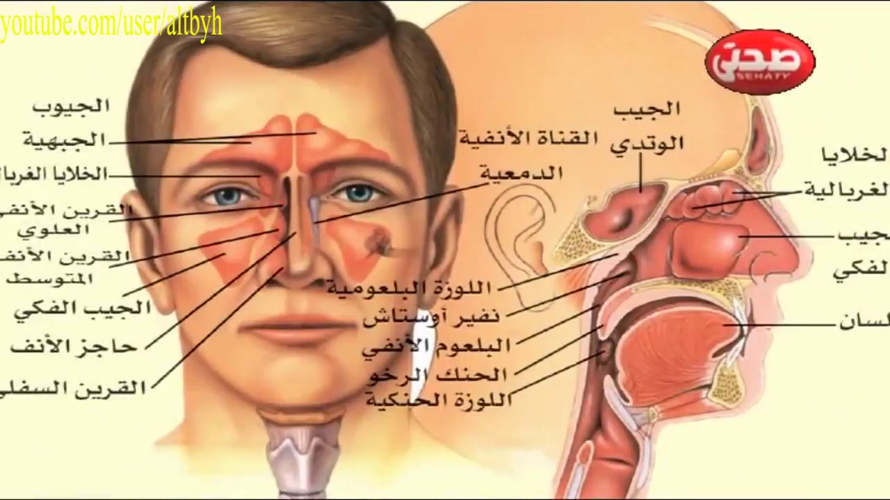 اسباب الصداع - طرق علاج الصداع ومقاومته 1924 1