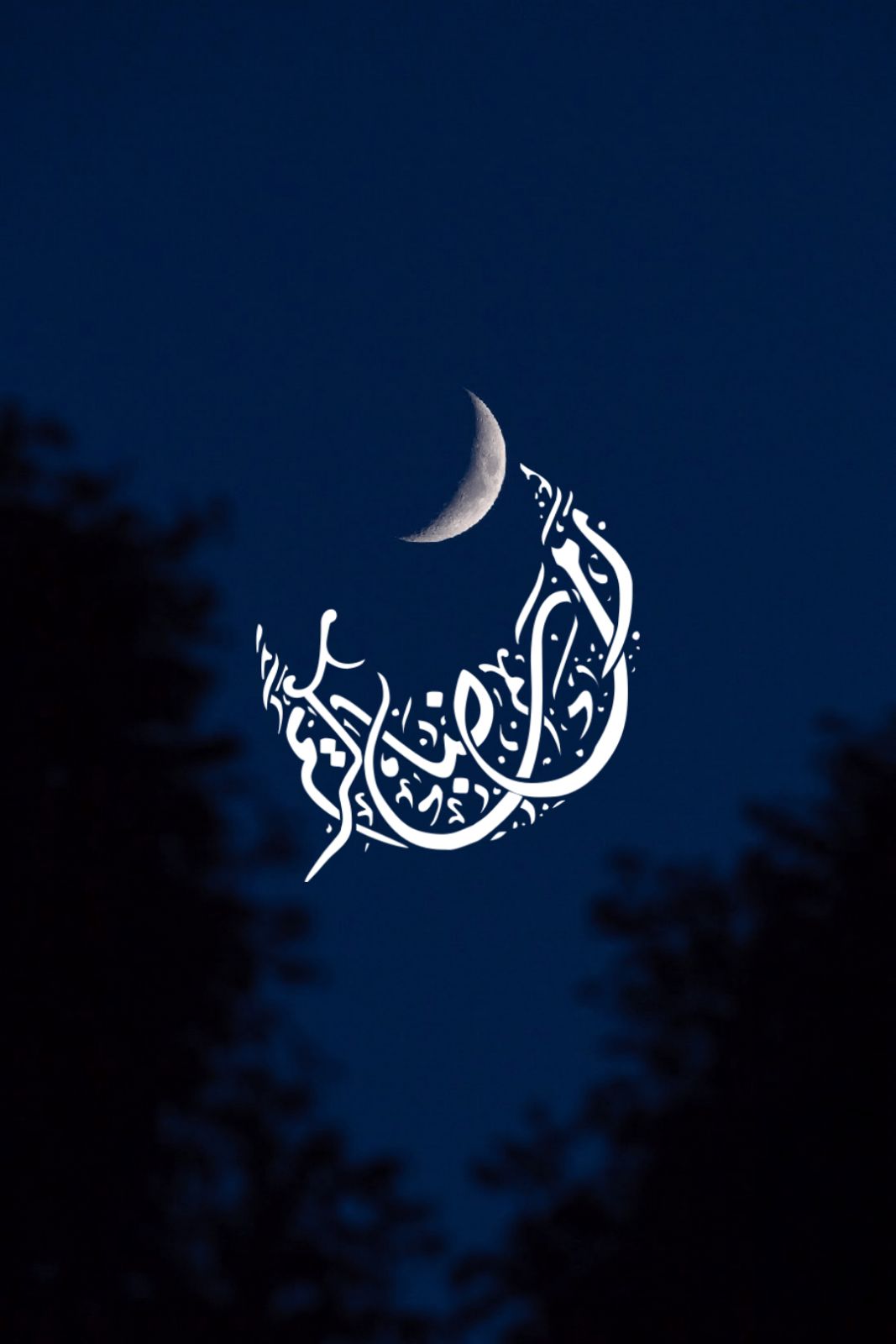 اجمل صور عن رمضان - عادات رمضانيه 5869 8