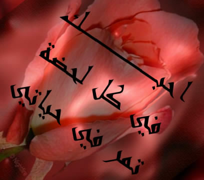 كلمة احبك - صور حب مميزة 5266 1