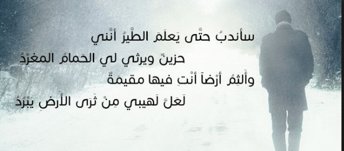 شعر عن الفراق والوداع بالفصحى - قصائد مؤلمة عن الوداء بالعربية الفصحى 14546