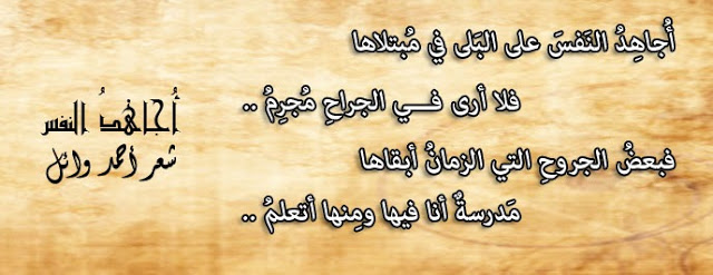 حكم وامثال وكلام من ذهب - شاهد اروع الحكم والامثال 3711 8